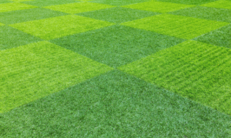 Artificial Grass Artificial Grass
